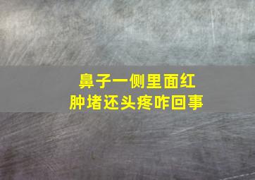 鼻子一侧里面红肿堵还头疼咋回事