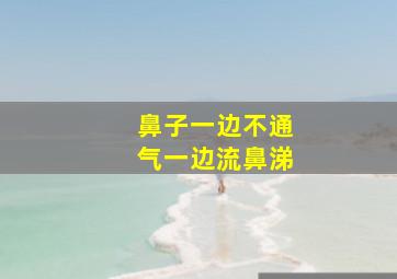 鼻子一边不通气一边流鼻涕