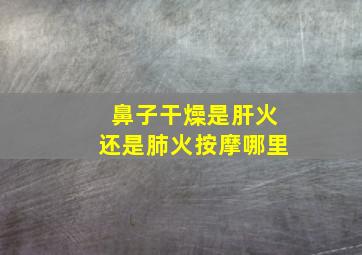 鼻子干燥是肝火还是肺火按摩哪里