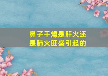 鼻子干燥是肝火还是肺火旺盛引起的