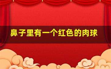 鼻子里有一个红色的肉球