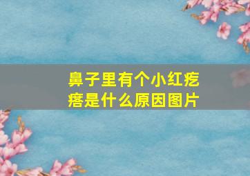 鼻子里有个小红疙瘩是什么原因图片