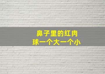 鼻子里的红肉球一个大一个小