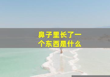 鼻子里长了一个东西是什么