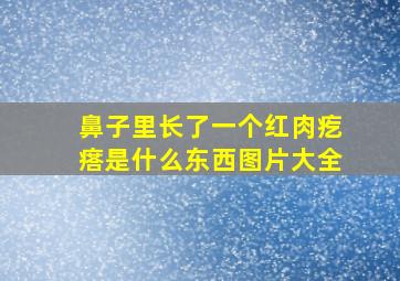 鼻子里长了一个红肉疙瘩是什么东西图片大全