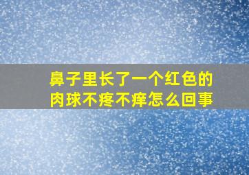 鼻子里长了一个红色的肉球不疼不痒怎么回事