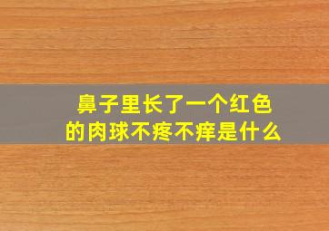 鼻子里长了一个红色的肉球不疼不痒是什么