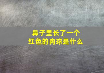 鼻子里长了一个红色的肉球是什么