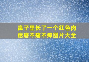 鼻子里长了一个红色肉疙瘩不痛不痒图片大全