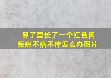 鼻子里长了一个红色肉疙瘩不痛不痒怎么办图片