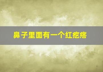 鼻子里面有一个红疙瘩