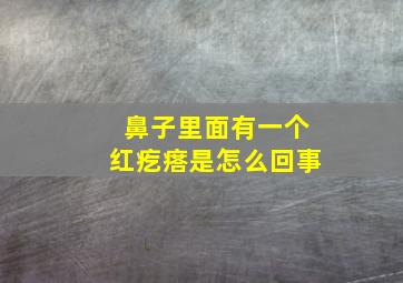 鼻子里面有一个红疙瘩是怎么回事