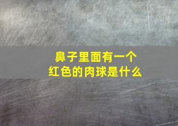 鼻子里面有一个红色的肉球是什么