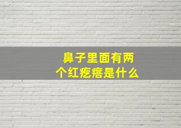 鼻子里面有两个红疙瘩是什么