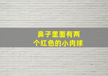 鼻子里面有两个红色的小肉球