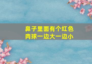 鼻子里面有个红色肉球一边大一边小