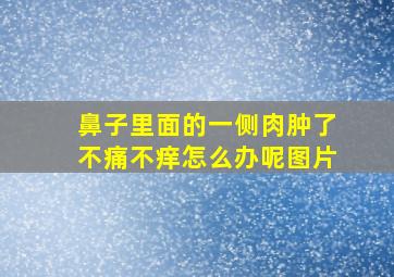 鼻子里面的一侧肉肿了不痛不痒怎么办呢图片