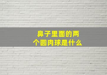 鼻子里面的两个圆肉球是什么