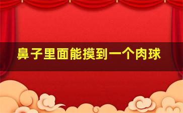 鼻子里面能摸到一个肉球