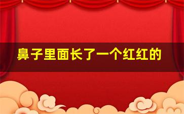 鼻子里面长了一个红红的