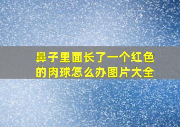 鼻子里面长了一个红色的肉球怎么办图片大全