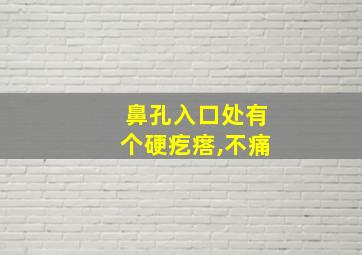 鼻孔入口处有个硬疙瘩,不痛