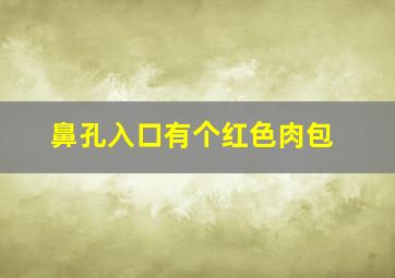 鼻孔入口有个红色肉包