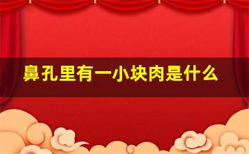 鼻孔里有一小块肉是什么