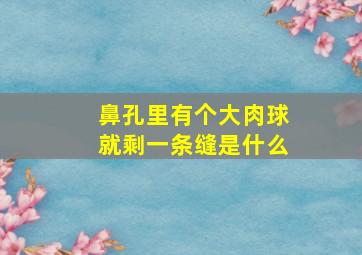 鼻孔里有个大肉球就剩一条缝是什么