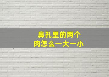 鼻孔里的两个肉怎么一大一小