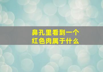 鼻孔里看到一个红色肉属于什么