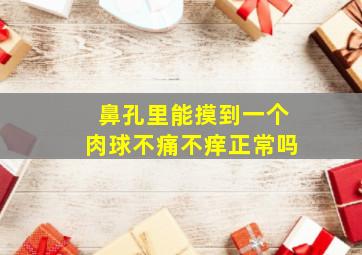 鼻孔里能摸到一个肉球不痛不痒正常吗