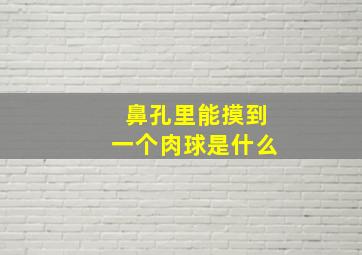 鼻孔里能摸到一个肉球是什么