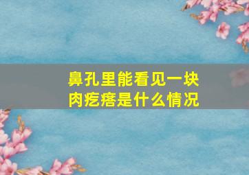 鼻孔里能看见一块肉疙瘩是什么情况