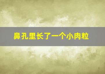 鼻孔里长了一个小肉粒