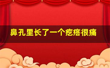 鼻孔里长了一个疙瘩很痛