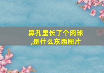 鼻孔里长了个肉球,是什么东西图片