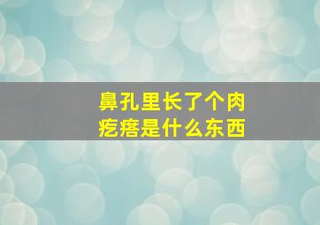 鼻孔里长了个肉疙瘩是什么东西