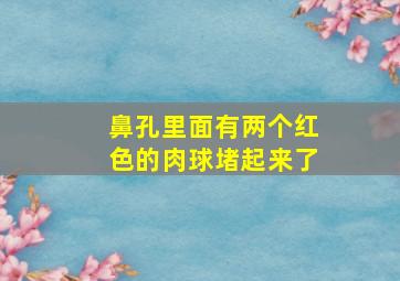 鼻孔里面有两个红色的肉球堵起来了