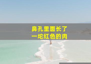 鼻孔里面长了一坨红色的肉