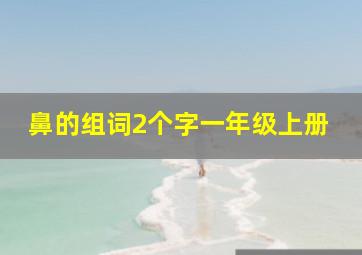 鼻的组词2个字一年级上册