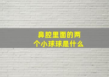 鼻腔里面的两个小球球是什么