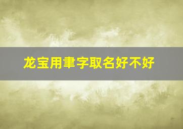 龙宝用聿字取名好不好