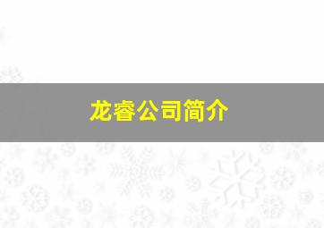 龙睿公司简介