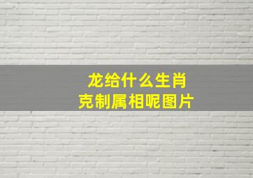 龙给什么生肖克制属相呢图片