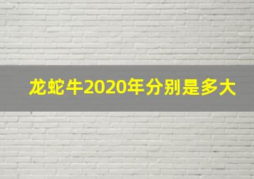 龙蛇牛2020年分别是多大