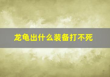 龙龟出什么装备打不死