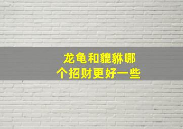 龙龟和貔貅哪个招财更好一些