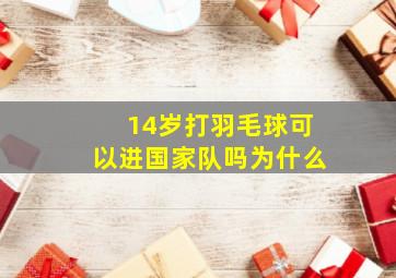 14岁打羽毛球可以进国家队吗为什么