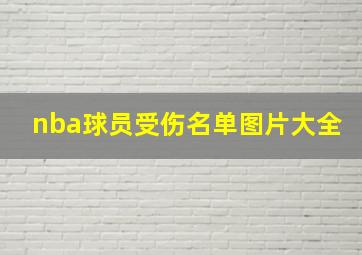 nba球员受伤名单图片大全